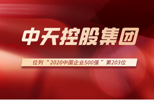 asiagame控股集团列2020中国企业500强第203位！